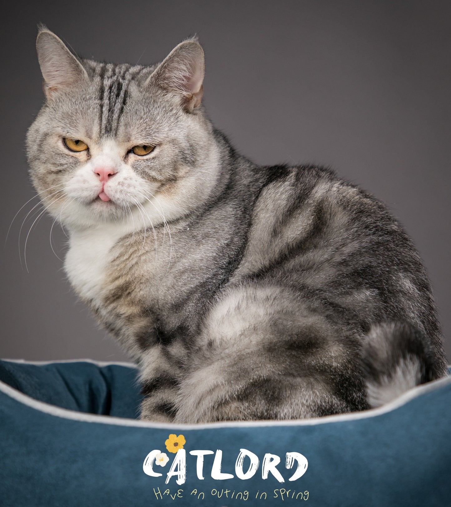 Udon x Catlord Tote Bag