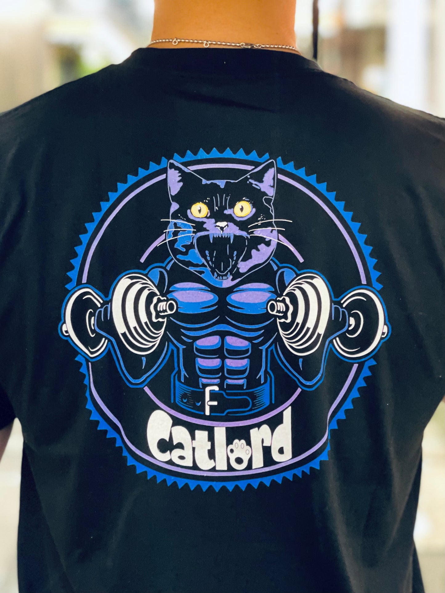 Gym Cat