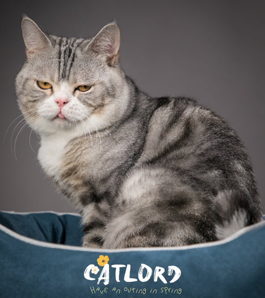 Udon x Catlord Tote Bag
